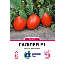 Томат -Галілея F1- 10шт